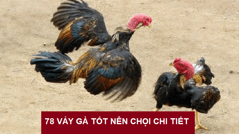 78-vay-ga-tot-nen-choi-nen-biet