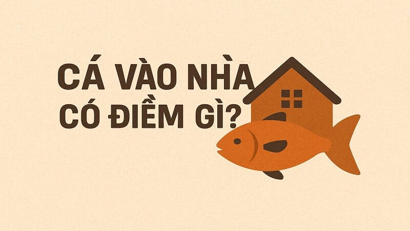 ca-vao-nha-co-diem-gi-1