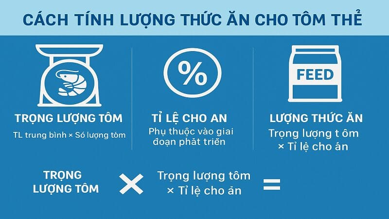 cach-cho-tom-the-an-dung-cach-1