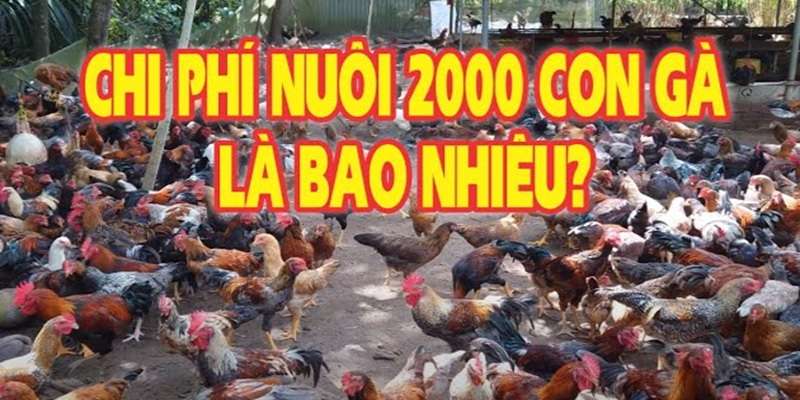 chi-phi-nuoi-200-ga-tha-vuon
