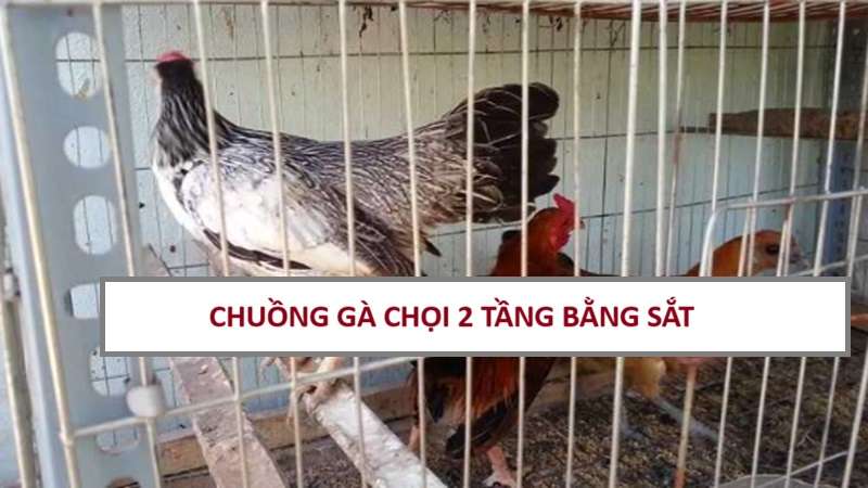 chuong-ga-choi-2-tang-bang-sat-1