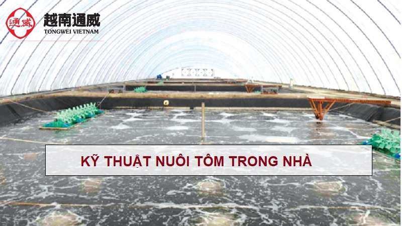 ky-thuat-nuoi-tom-trong-nha