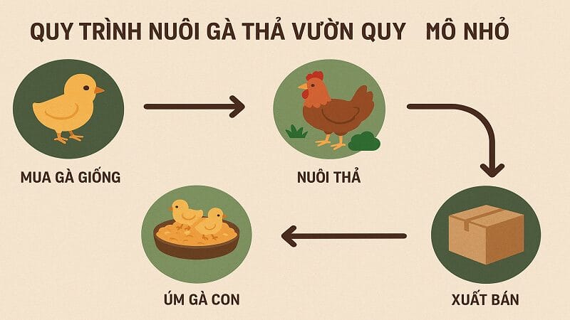 nuoi-ga-tha-vuon-quy-mo-nho-1