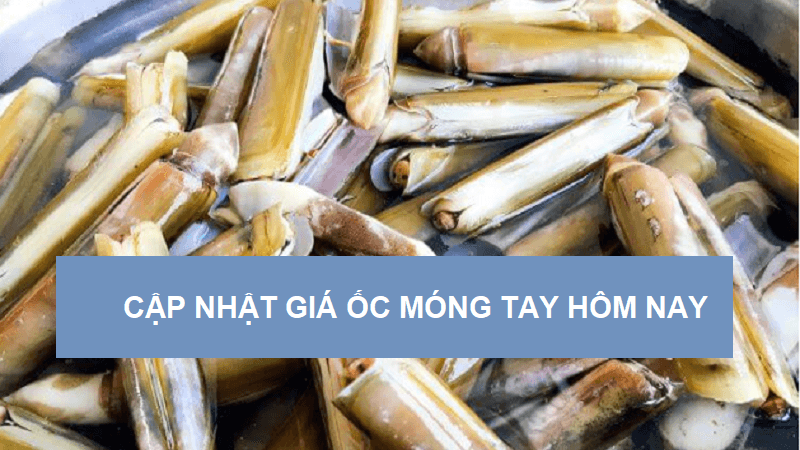 oc-mong-tay-bao-nhieu-1kg-1