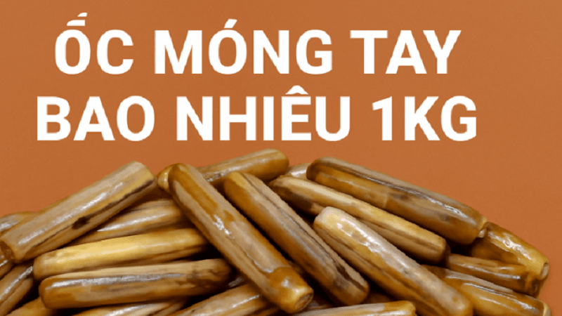 oc-mong-tay-bao-nhieu-1kg