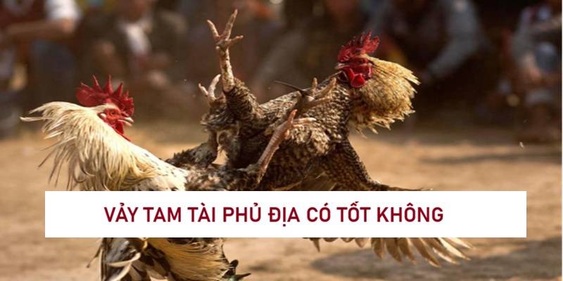 vay-tam-tai-phu-dia-co-tot-khong-1