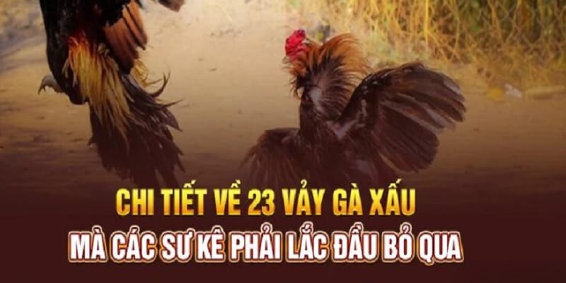 tong-hop-23-vay-ga-xau-chi-tiet
