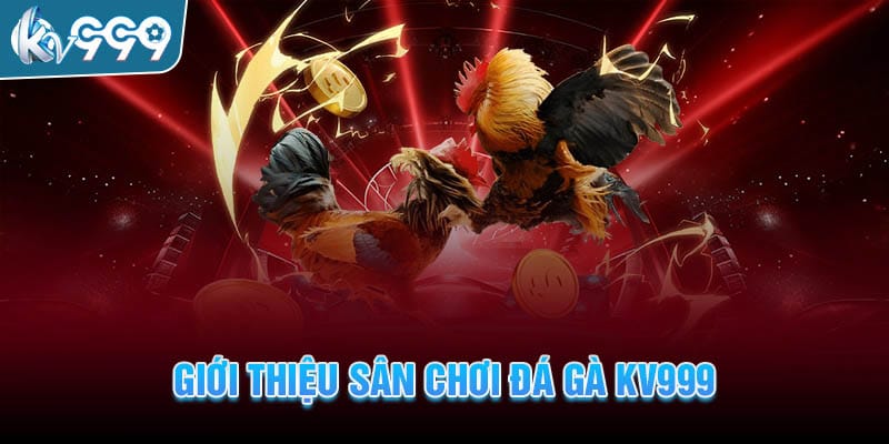 danh-gia-san-choi-da-ga-kv999