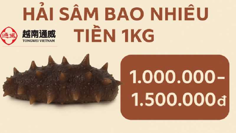 hai-sam-gia-bao-nhieu-tien-1kg-2