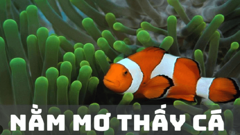 ý nghĩa của giấc mơ thấy cá