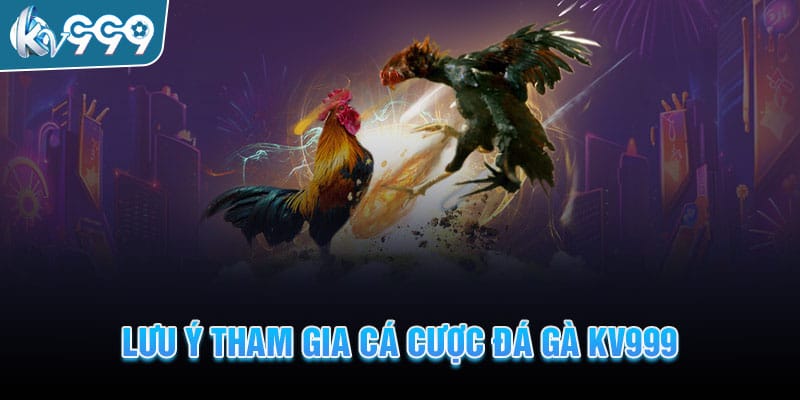 nhung-luu-y-khi-tham-gia-ca-cuoc-tai-da-ga-kv999
