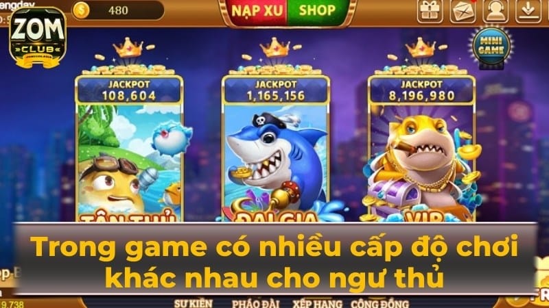 Trong game có nhiều cấp độ chơi khác nhau cho ngư thủ
