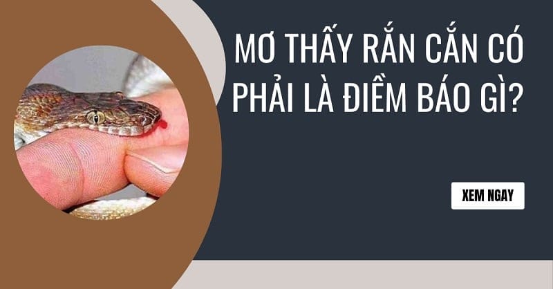 mo-thay-bi-ran-can-la-diem-bao-gi