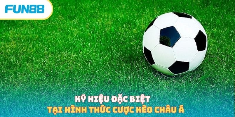thuat-ngu-ca-do-bong-da-ky-hieu-dac-biet