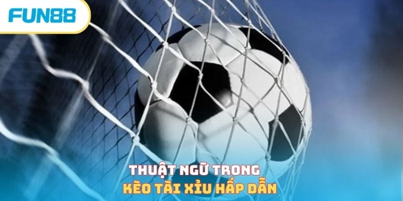 Thuật ngữ trong kèo tài xỉu hấp dẫn