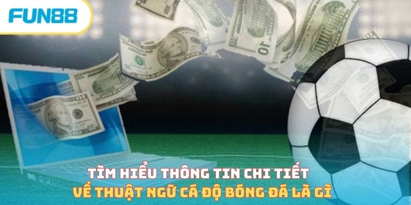 Tìm hiểu thông tin chi tiết về thuật ngữ cá độ bóng đá là gì