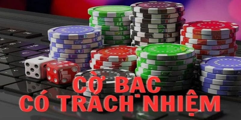 co-bac-co-trach-nhiem-tim-hieu