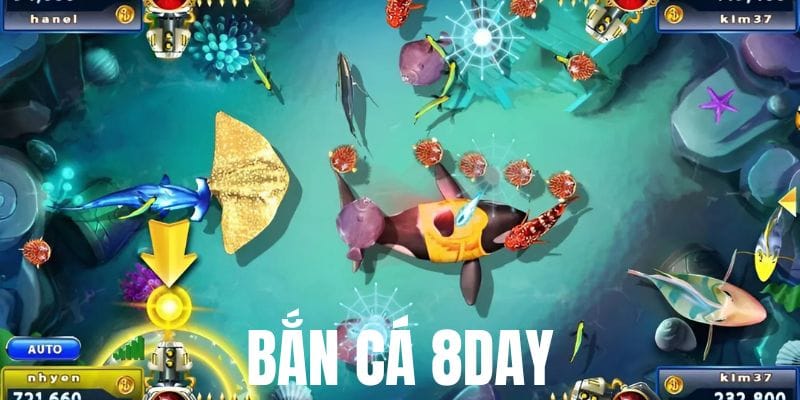 ban ca 8day