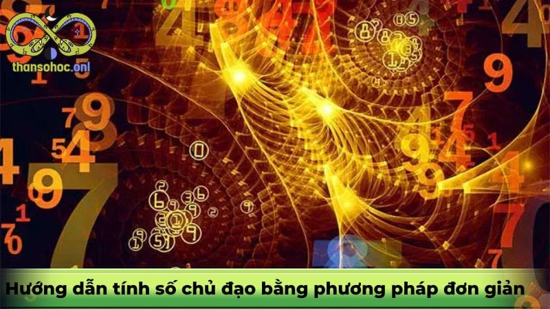 cach-tinh-so-chu-dao-1