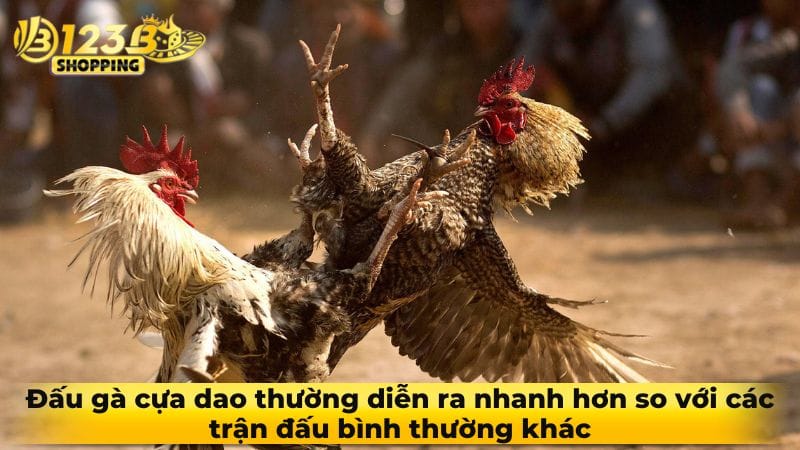 da-ga-cua-dao-1