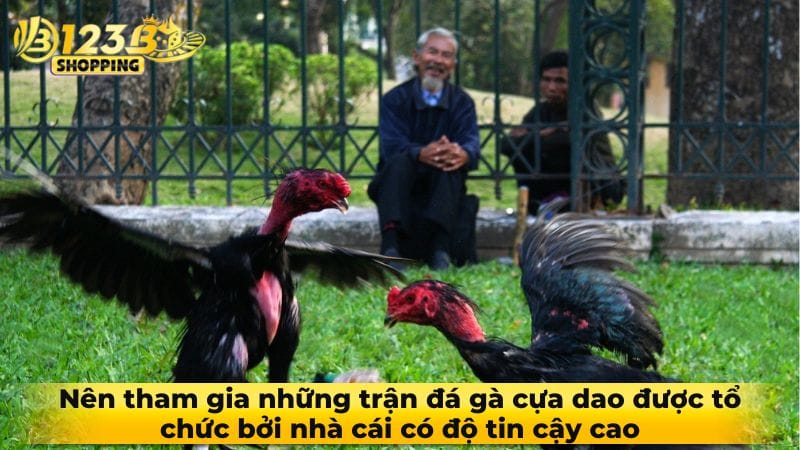da-ga-cua-dao-3