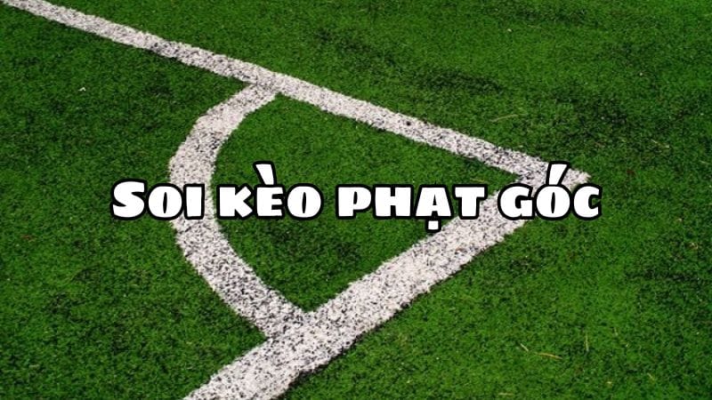 4-meo-hay-ca-cuoc-keo