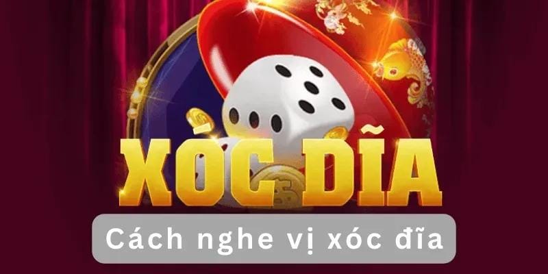 quan-vi-xoc-dia-la-gi