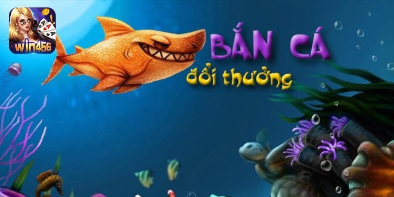 tong-quan-so-net-ve-ban-ca-win456