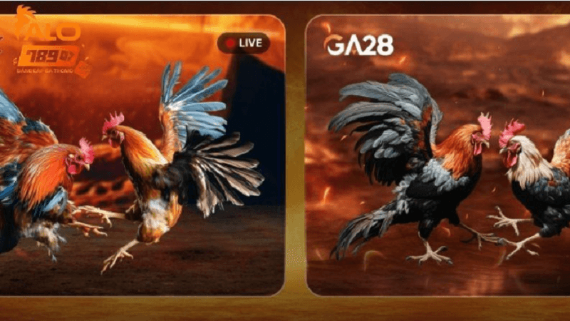 alo789-1