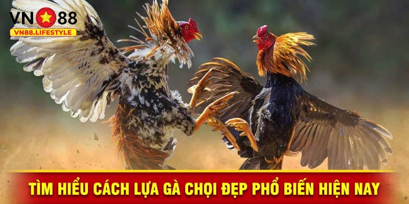 ga-choi-dep