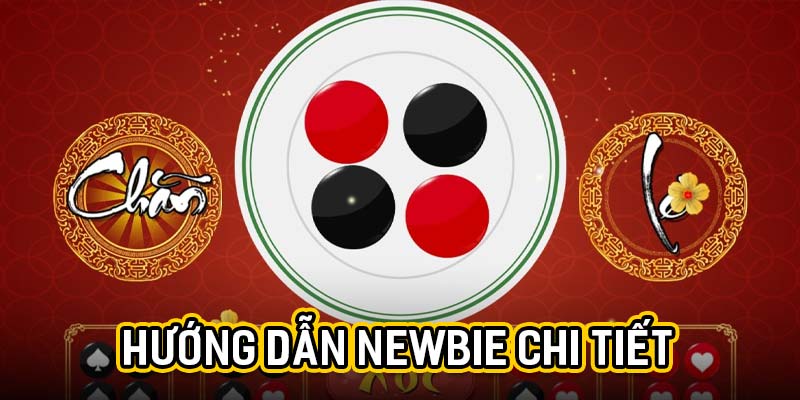 huong-dan-newbie-chi-tiet