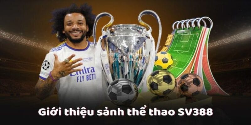 the-thao-sv388-co-nhung-mon-the-thao-nao