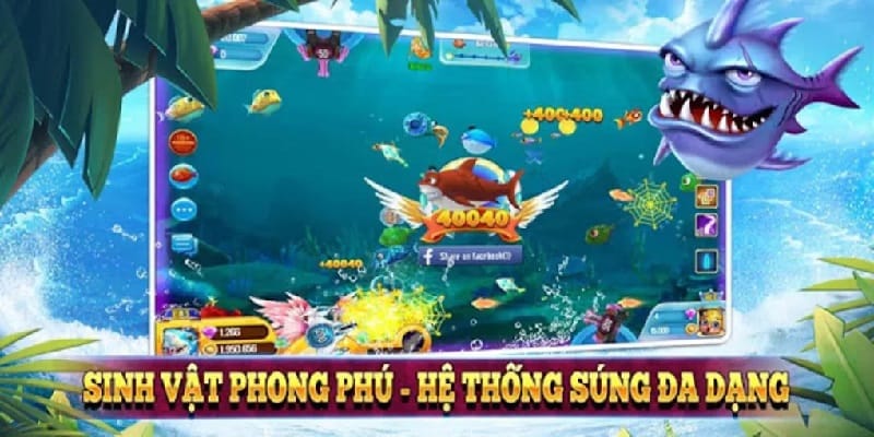 ban-ca-doi-thuong-hoat-dong-the-nao-ban-bua-lieu-co-trung-