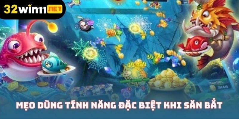 ban ca vui nhon meo