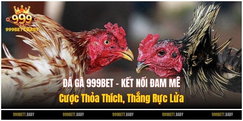 da ga 999bet anh dai dien