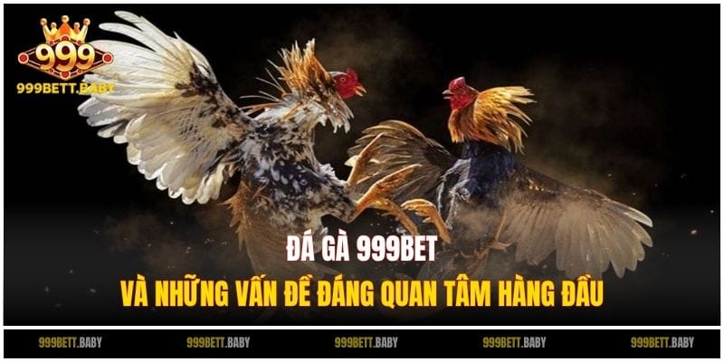 da ga 999bet cau hoi thuong gap