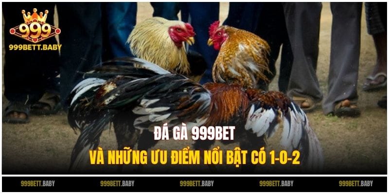 da-ga-999bet-uu-diem