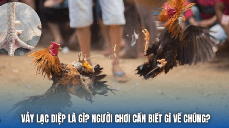 vay-ga-lac-diep