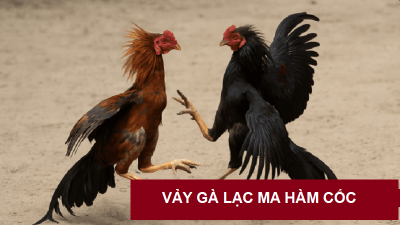 vay-ga-lac-ma-ham-coc-1