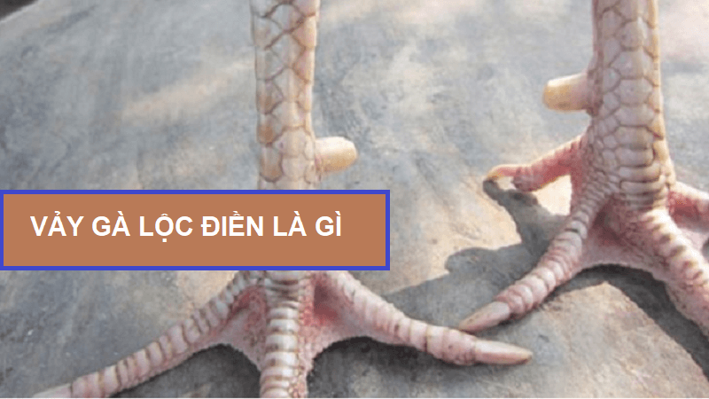 vay-ga-loc-dien