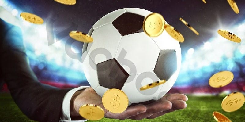 Điem-mat-top-cac-bo-mon-tai-nha-cai-Vinbet