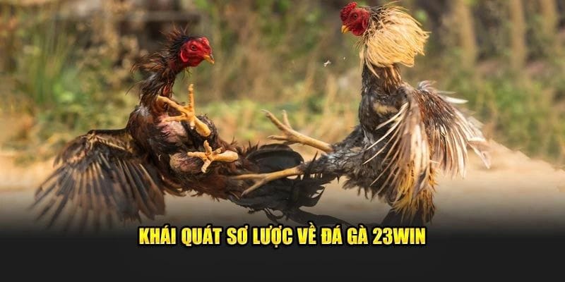 Khai quat so luoc ve da ga 23WIN