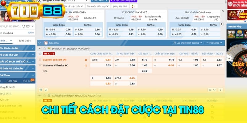 chi-tiet-cach-dat-cuoc-tai-tin88