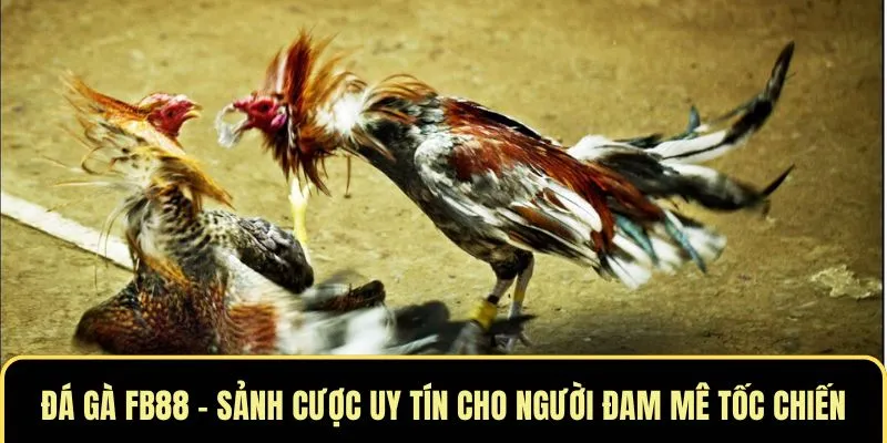 da ga fb88 1