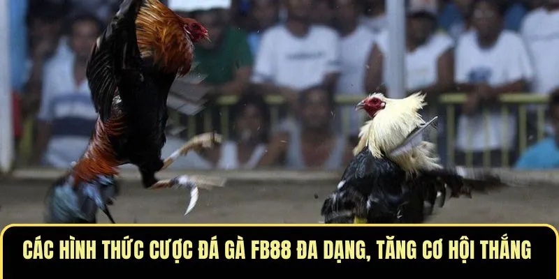 da-ga-fb88-4