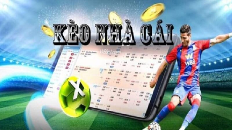 meo-choi-keo-nha-cai-huong-dan