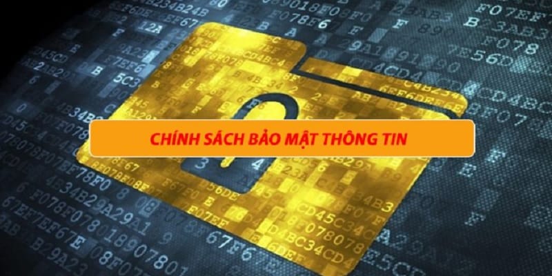 nha-cai-33win-dang-tin-cay-2