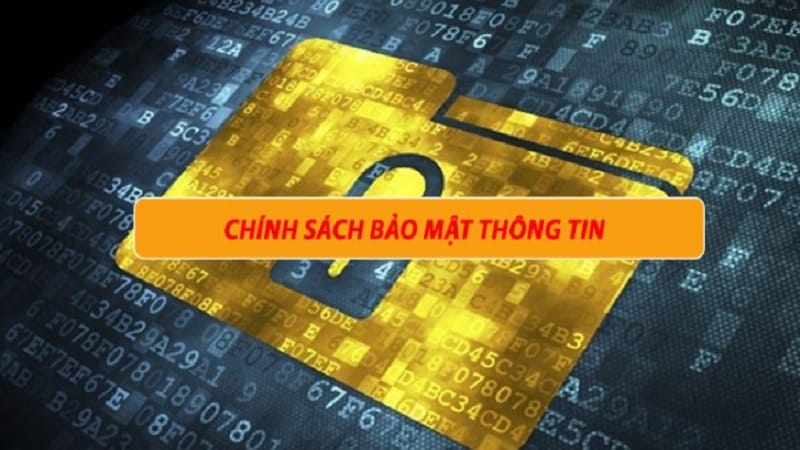 nha-cai-33win-dia-chi-cuoc-tin-cay-2