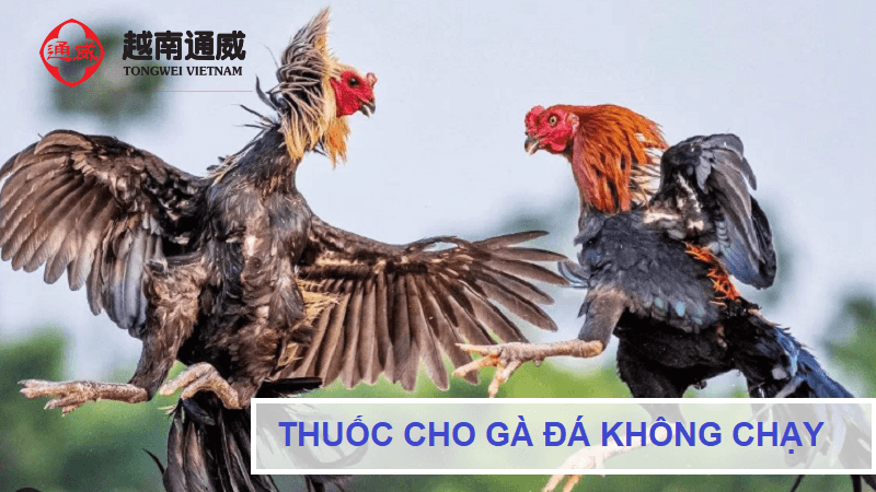 thuoc-cho-ga-da-khong-chay-1