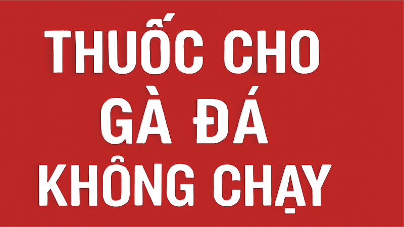 thuoc-cho-ga-da-khong-chay-4 thuoc-cho-ga-da-khong-chay-4